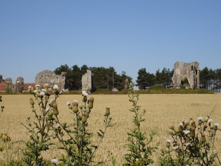 Bromholm Priory: A Cluniac Monastery and Pilgrimage Shrine in Norfolk