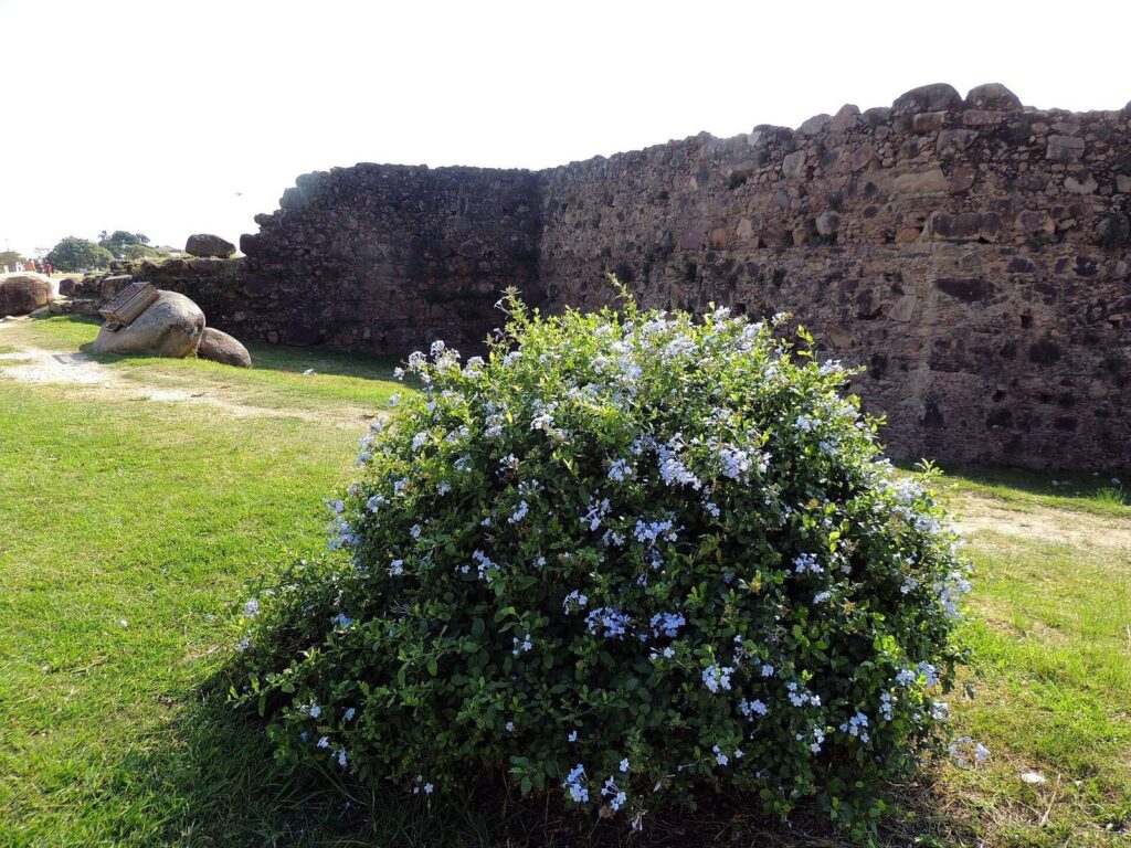 Forte de D. Pedro II de Caçapava: An Unfinished Imperial Fortification 2 Forte de D. Pedro II de Caçapava