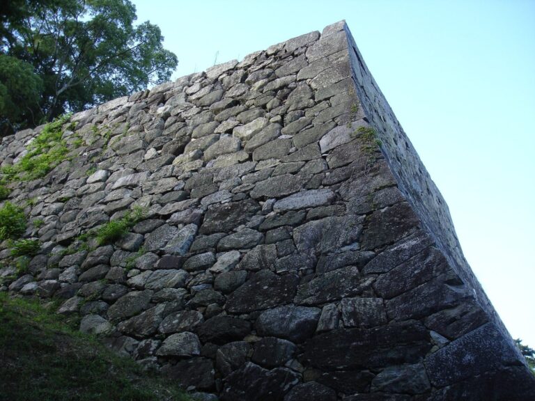 Matsusaka Castle: A Japanese Castle and Administrative Center