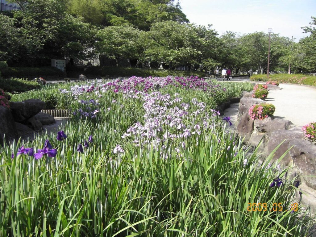 Kushima Castle: Seat of the Ōmura Domain in Japan 2 Kushima Castle