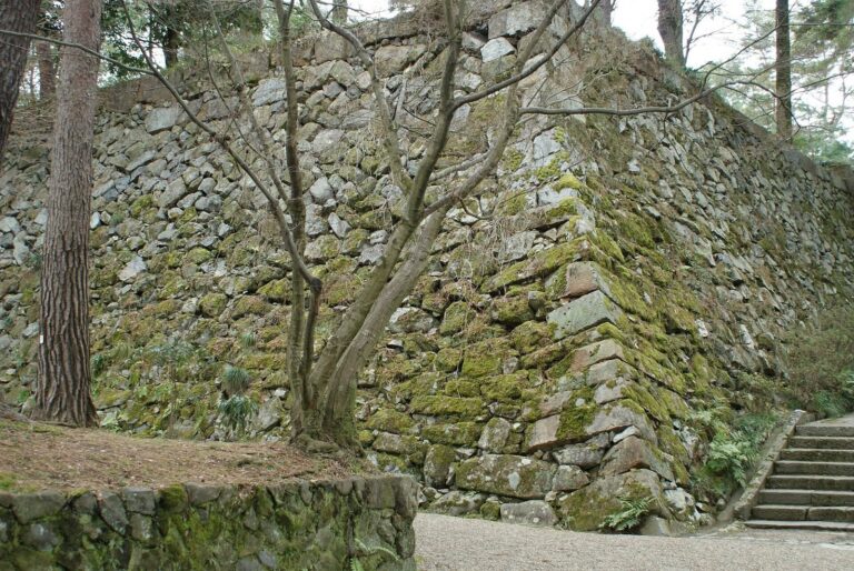 Tamba Kameyama Castle: A Forward Base and Regional Stronghold