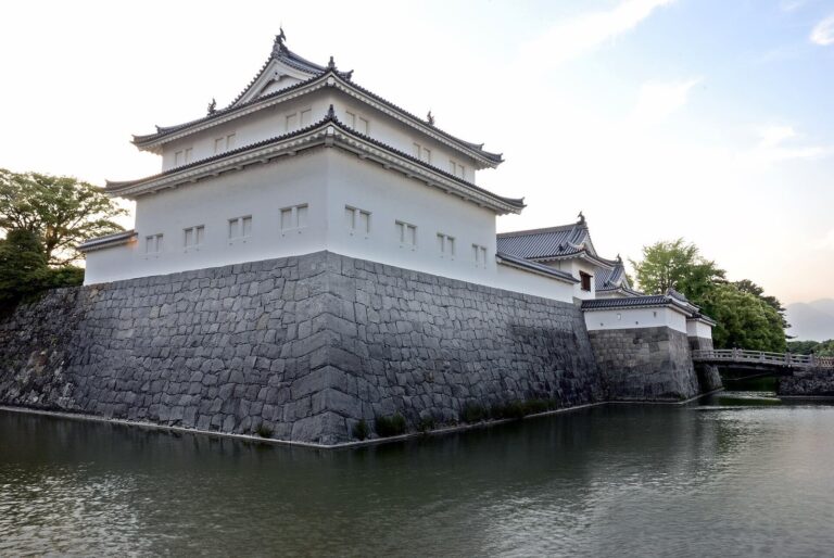 Sunpu Castle: A Tokugawa Seat of Government in Japan
