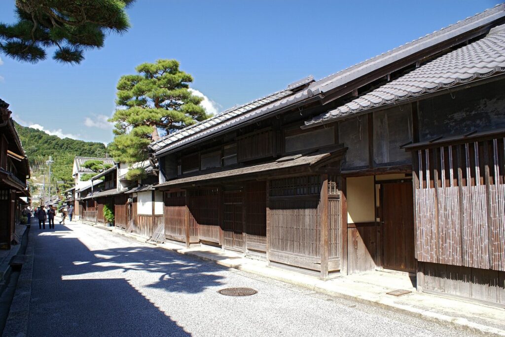 Hachimanyama Castle: A Mountain Stronghold and Castle Town in Japan 1 Hachimanyama Castle