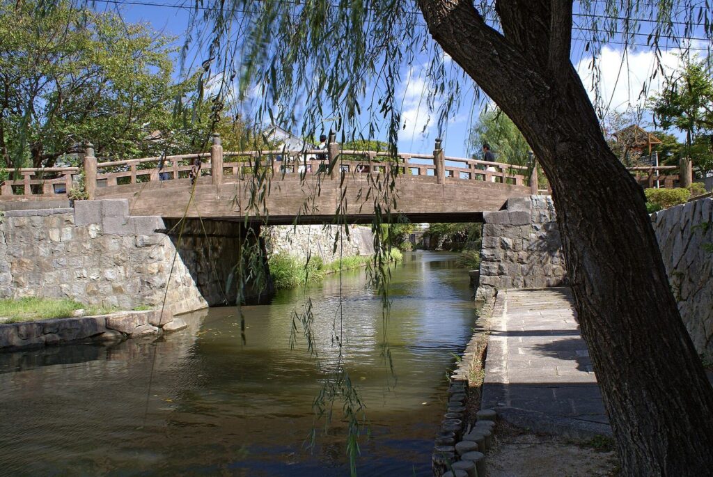 Hachimanyama Castle: A Mountain Stronghold and Castle Town in Japan 2 Hachimanyama Castle