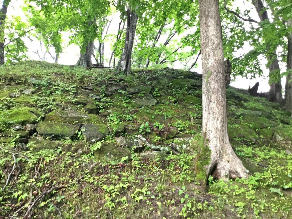 Miharu Castle: Seat of Miharu Domain in Japan 2 Miharu Castle