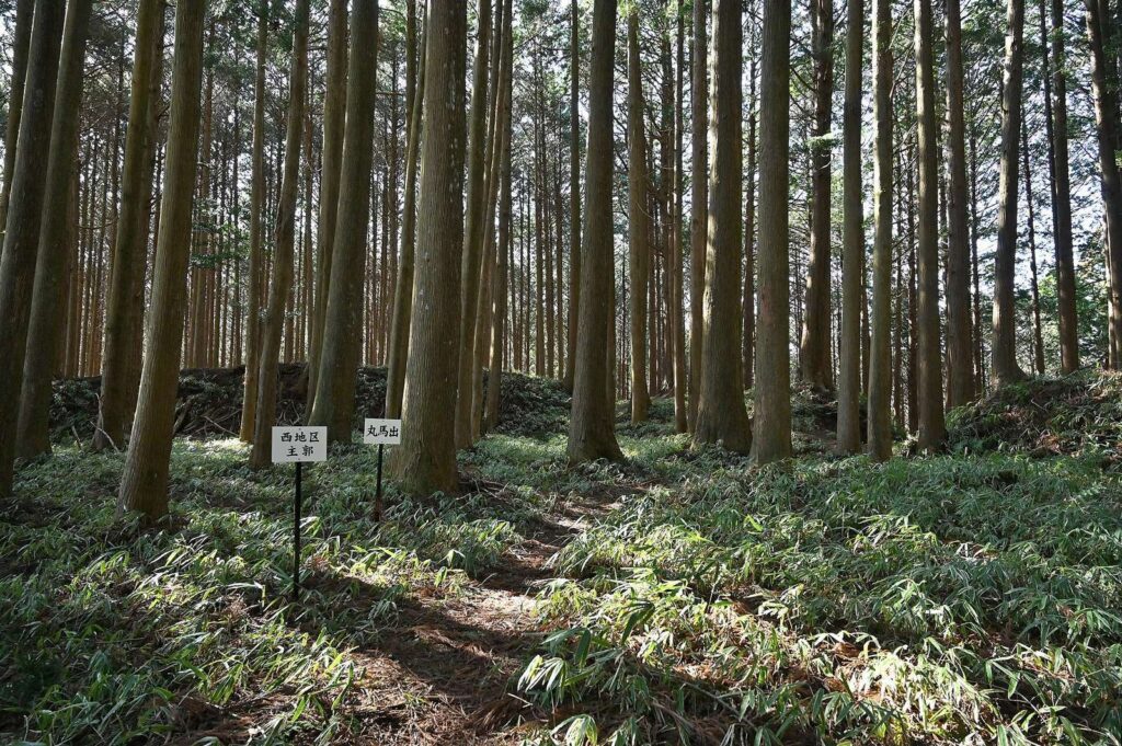 Furumiya Castle: A Takeda Stronghold in the Tsukude Basin 1 Furumiya Castle