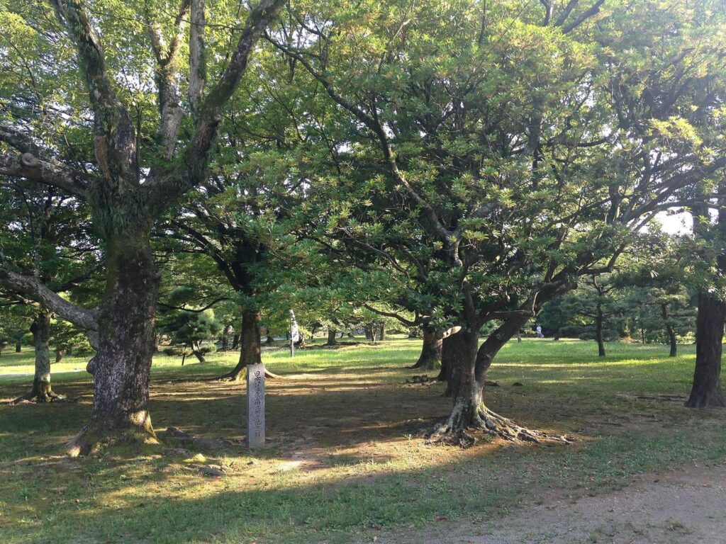 Fukuoka Castle: A Japanese Hill-and-Plain Fortress 2 Fukuoka Castle
