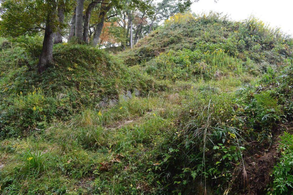 Uda Matsuyama Castle