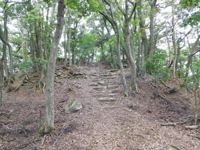 Nochiseyama Castle: A Mountain Fortress and Seat of Wakasa Government