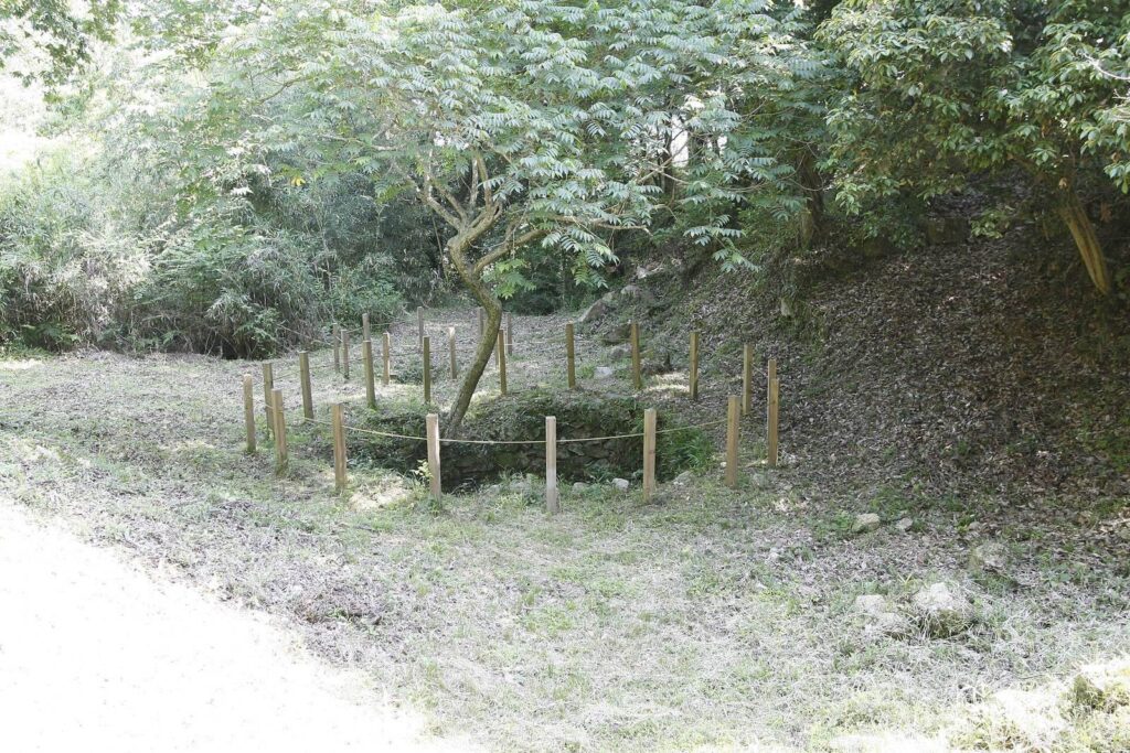 Niitakayama Castle