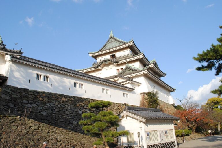 Wakayama Castle: A Provincial Stronghold and Kii Domain Center