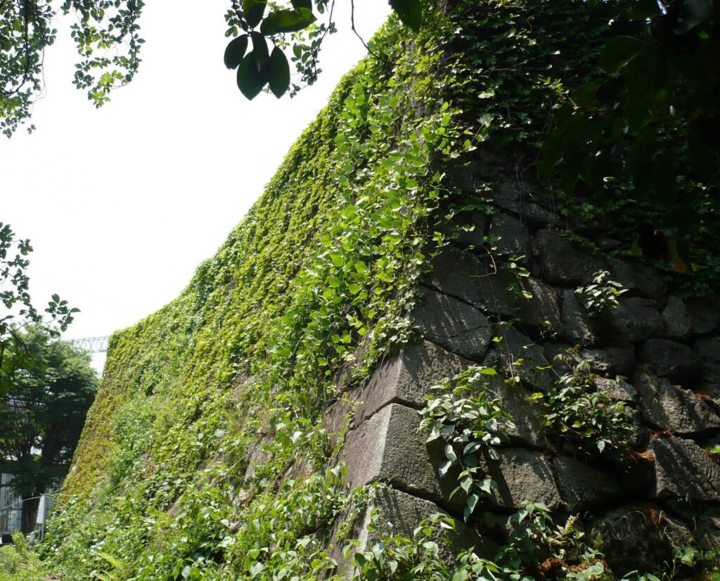 Yodo Castle: A Tokugawa Stronghold for Southern Kyoto 1 Yodo Castle