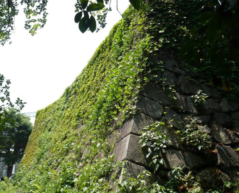 Yodo Castle: A Tokugawa Stronghold for Southern Kyoto