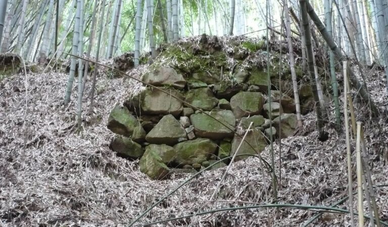 Akutagawayama Castle: A Sengoku-Period Mountain Stronghold in Japan