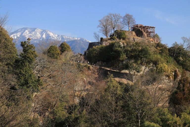 Naegi Castle: A Tōyama Stronghold and Domain Seat in Japan