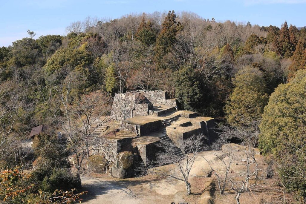 Naegi Castle: A Tōyama Stronghold and Domain Seat in Japan 3 Naegi Castle