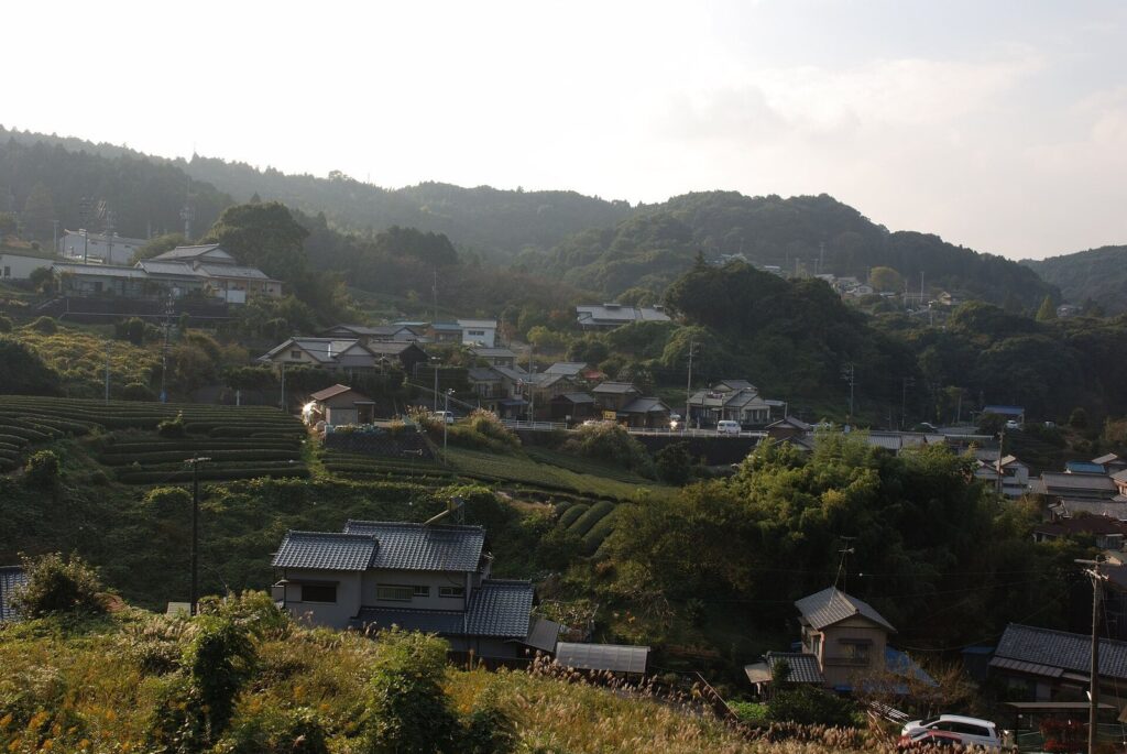 Suwahara Castle: A Takeda Stronghold in Japan 2 Suwahara Castle