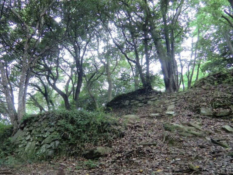 Kōnomine Castle: A Mōri Stronghold in Yamaguchi
