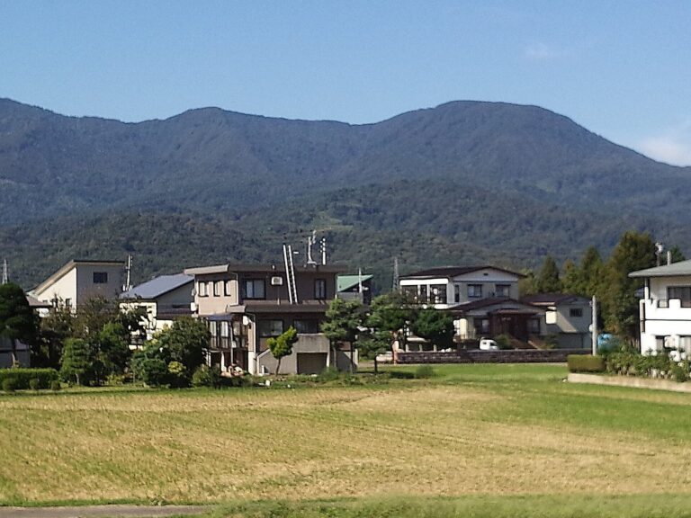 Samegao Castle: A Uesugi Frontier Stronghold in Japan