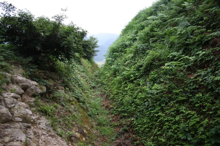 Torigoe Castle: A Stronghold of Kaga’s Ikkō-ikki Resistance