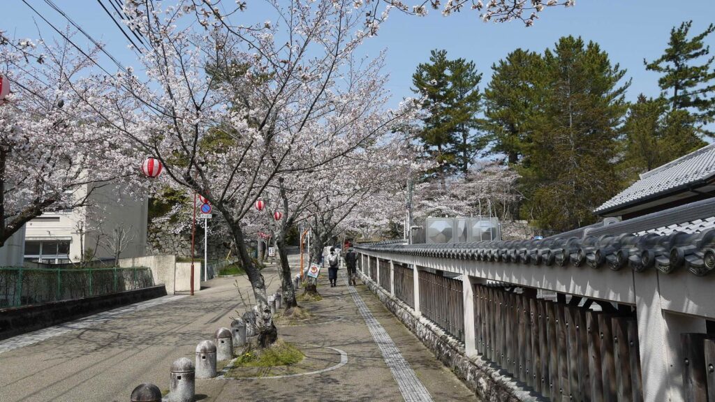 Iga Ueno Castle: A Fortified Seat of Government in Iga 2 Iga Ueno Castle