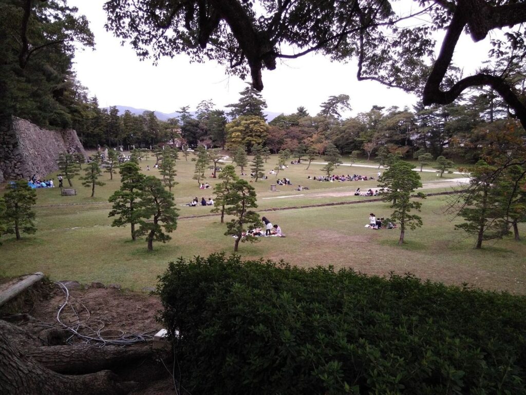 Matsue Castle: A Japanese Hill Castle and Domain Seat 1 Matsue Castle