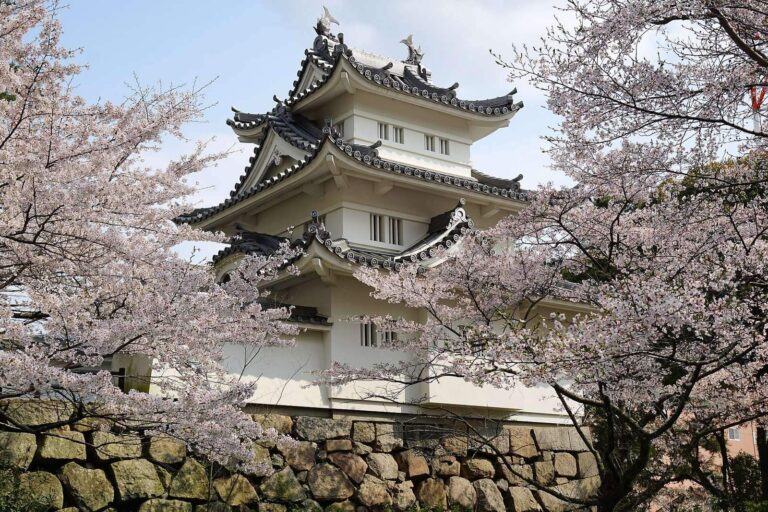 Tsu Castle: Seat of Tsu Domain in Japan