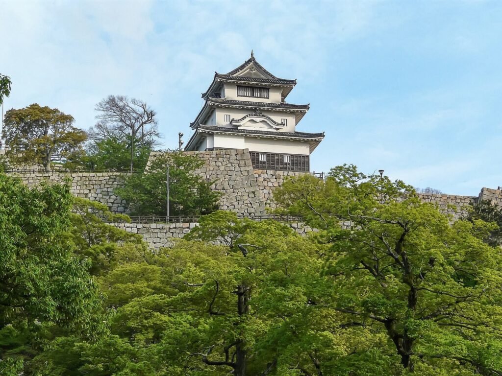 Marugame Castle: A Stronghold and Domain Seat in Japan 1 Marugame Castle