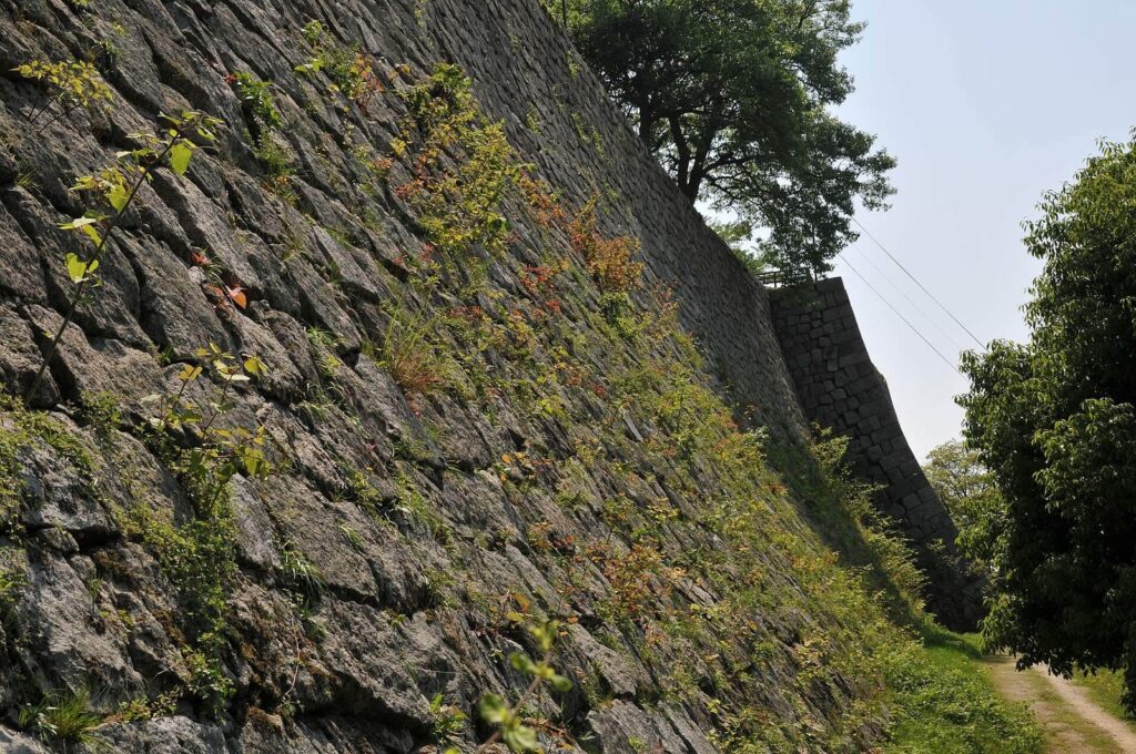 Marugame Castle: A Stronghold and Domain Seat in Japan 4 Marugame Castle