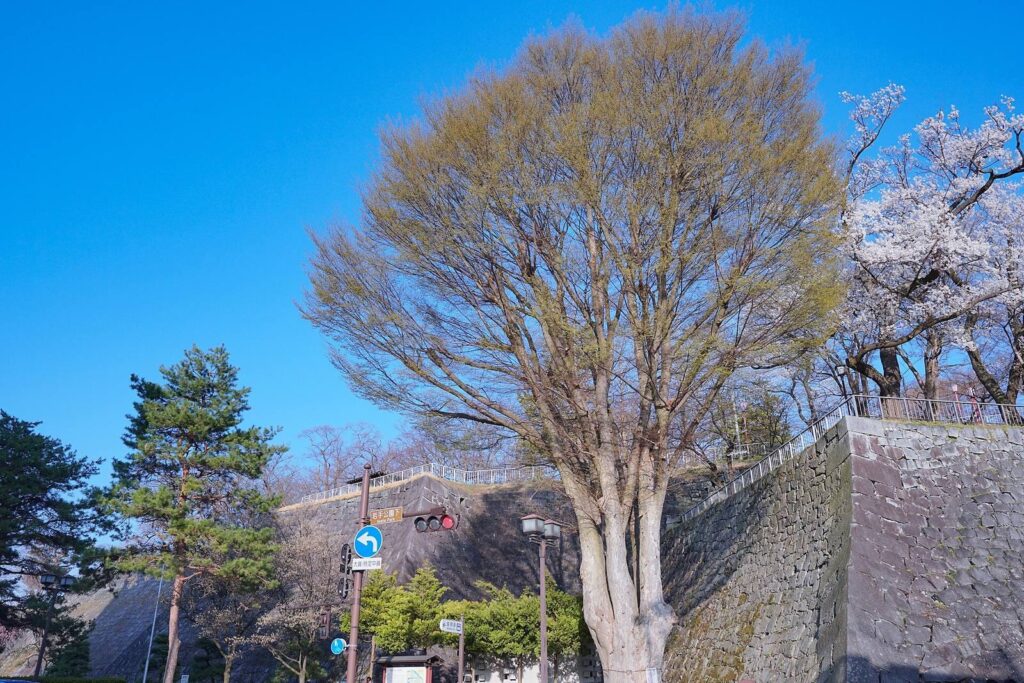 Morioka Castle: Seat of the Nanbu Clan in Japan 3 Morioka Castle