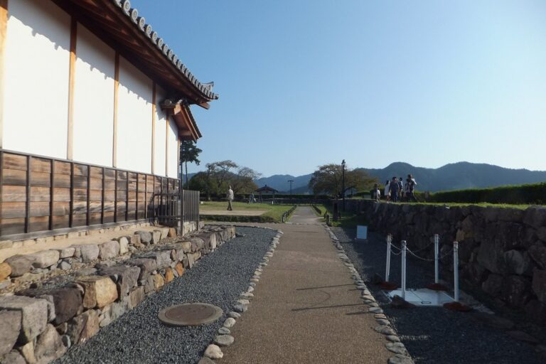 Sasayama Castle: A Japanese Castle and Domain Seat