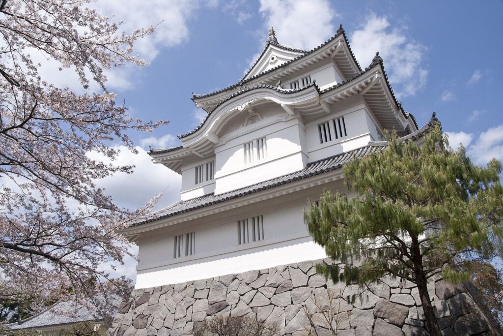 Ōtaki Castle: A Hill Castle and Domain Center in Japan 1 Ōtaki Castle