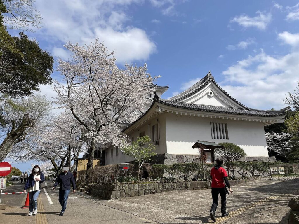 Ōtaki Castle: A Hill Castle and Domain Center in Japan 3 Ōtaki Castle