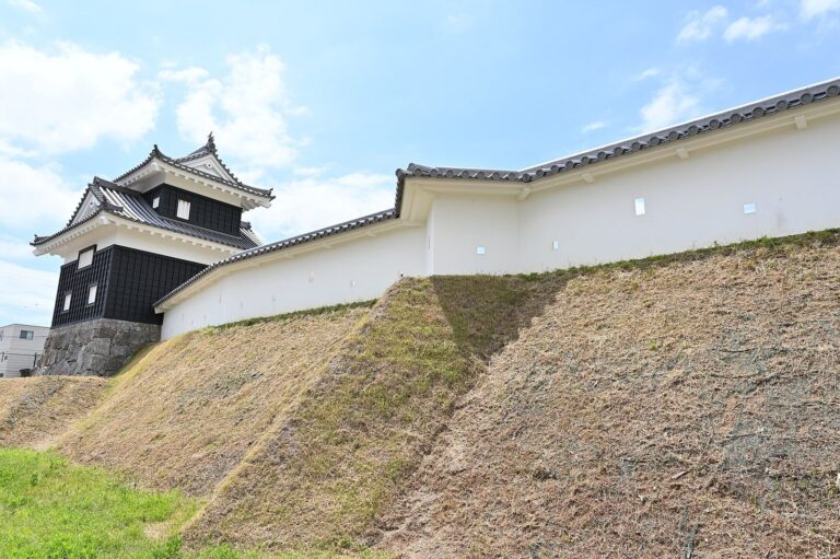 Nishio Castle: Seat of the Nishio Domain
