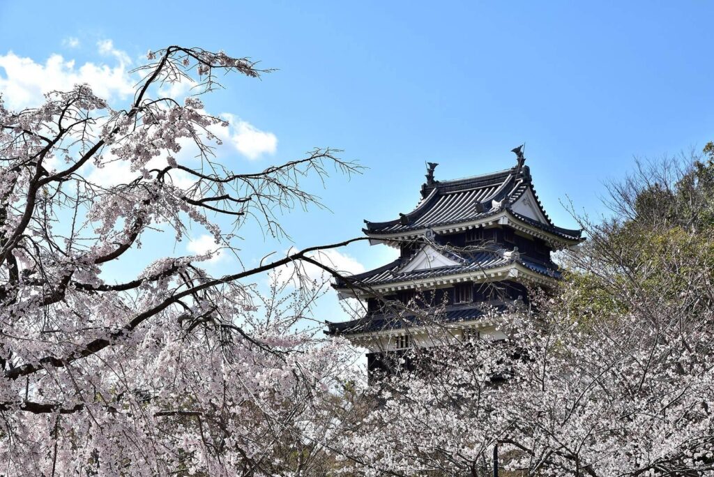 Nishio Castle: Seat of the Nishio Domain 2 Nishio Castle