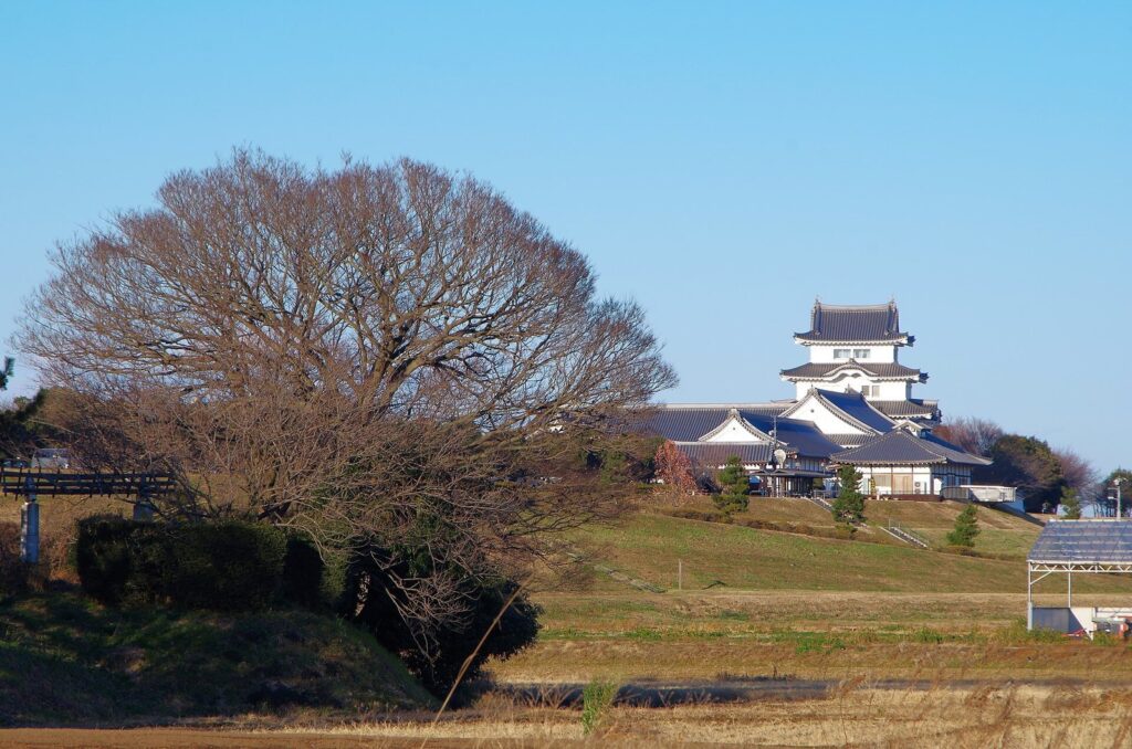 Sekiyado Castle: A Strategic River Castle in Japan 2 Sekiyado Castle