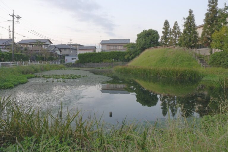 Tanaka Castle: A Japanese Castle and Edo-Period Domain Seat