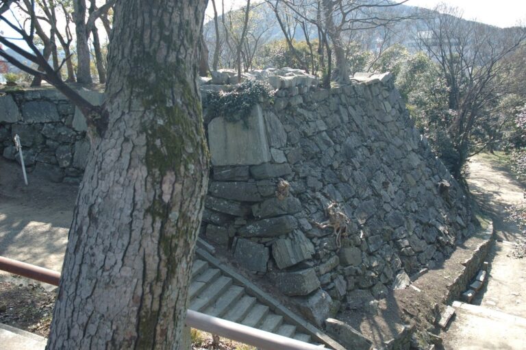 Tokushima Castle: Seat of the Tokushima Domain