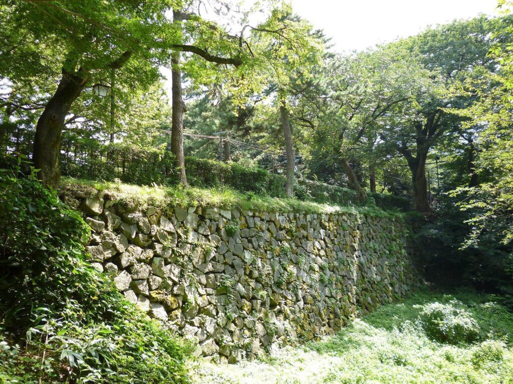 Takaoka Castle