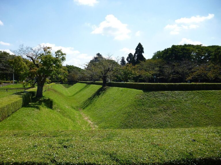 Sakura Castle: A Hilltop Castle and Seat of Sakura Domain
