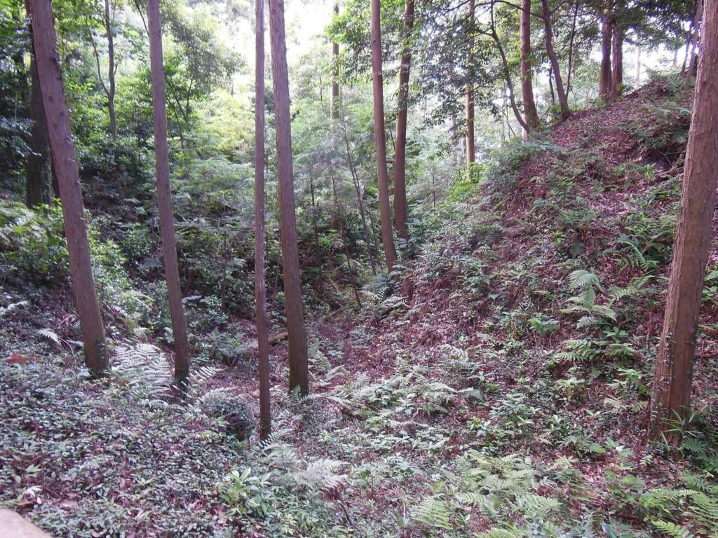 Noda Castle: A Sengoku-Period Stronghold in Japan 1 Noda Castle