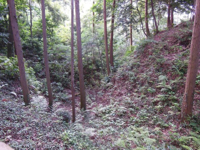 Noda Castle: A Sengoku-Period Stronghold in Japan