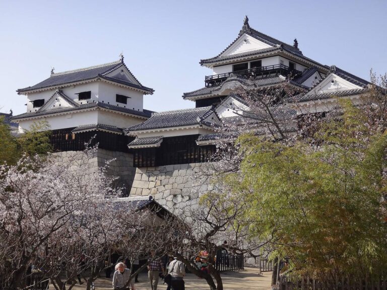 Matsuyama Castle: A Hilltop Fortress and Domain Seat in Ehime