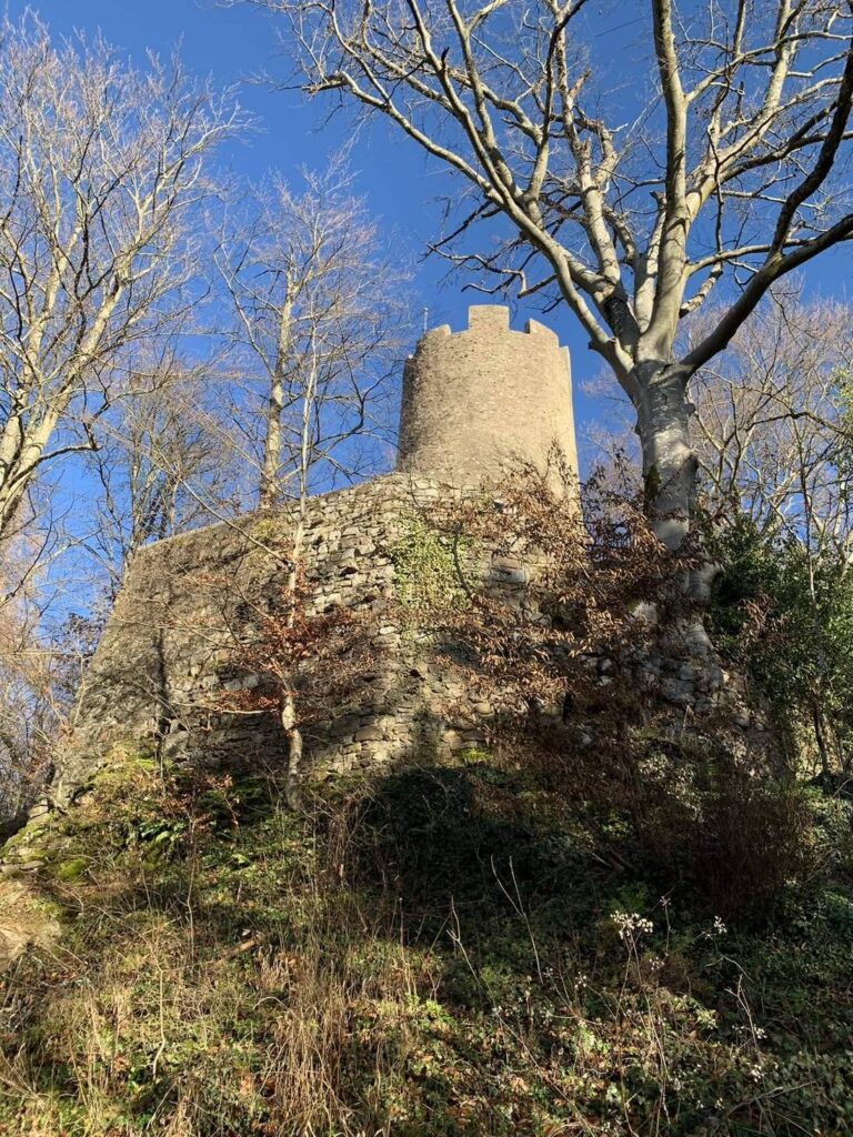 Zähringen castle