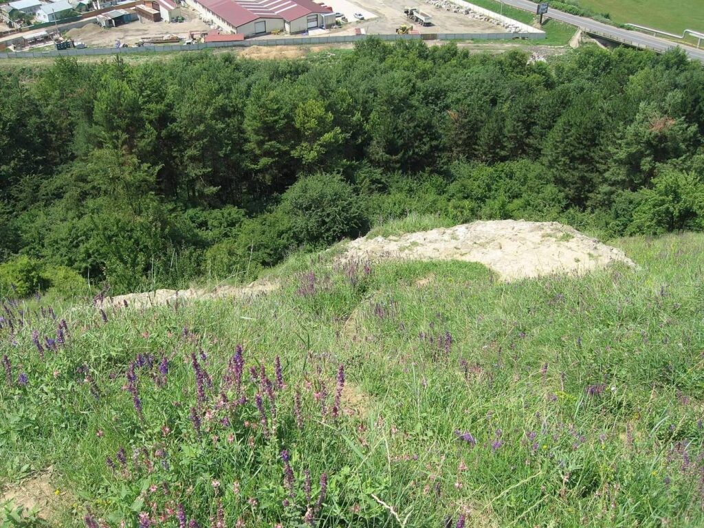 Șcheia Fortress: A Late 14th-Century Moldavian Stronghold 2 Șcheia Fortress