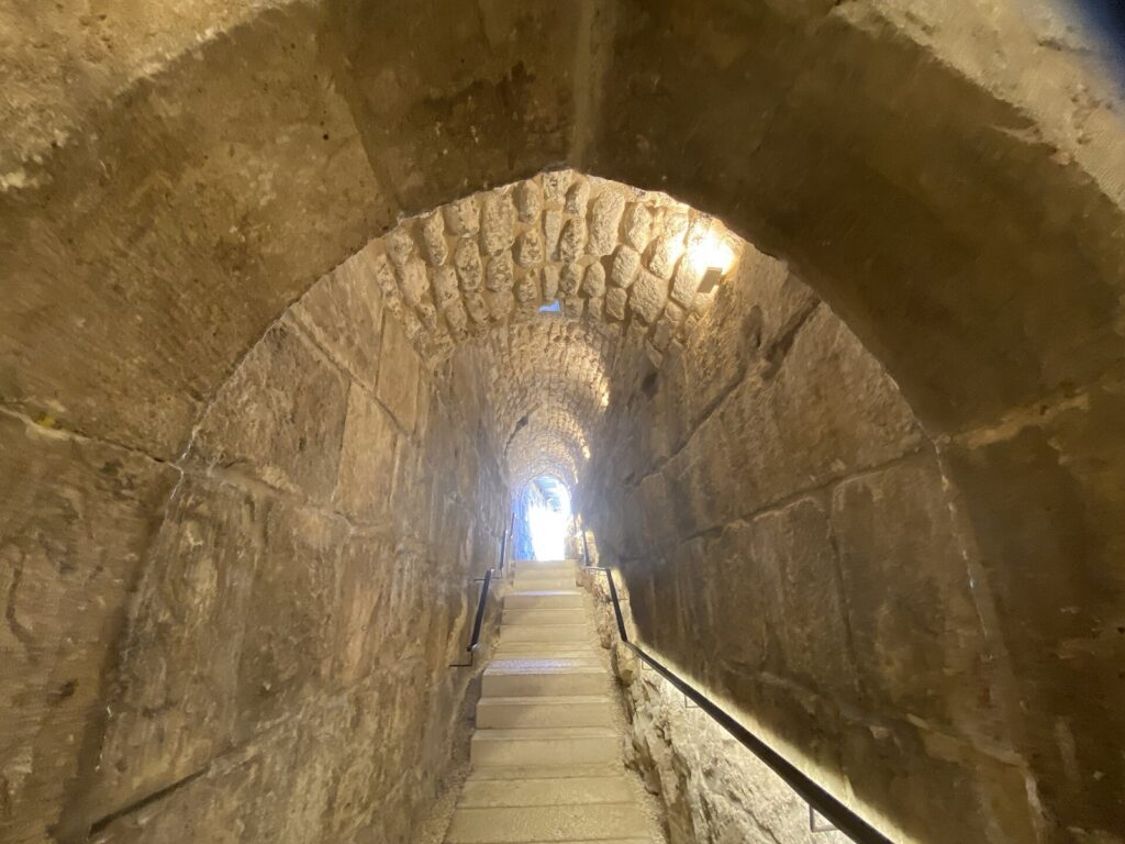 Tower of David