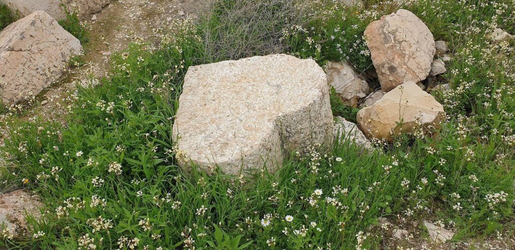 Alexandreion: A Hasmonean Fortress and Herodian Stronghold 2 Alexandreion