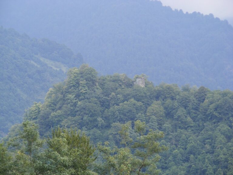 Askana Fortress: A Feudal Stronghold in Guria, Georgia