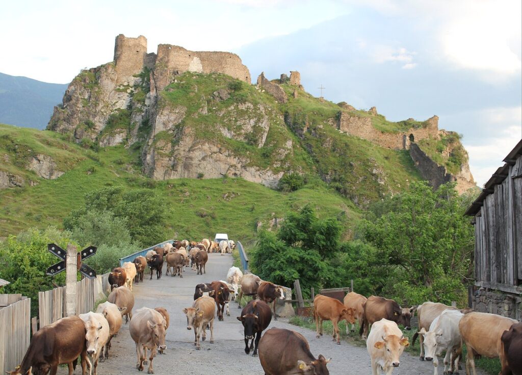 Atskuri Fortress: A Medieval Georgian Defensive Stronghold 2 Atskuri Fortress