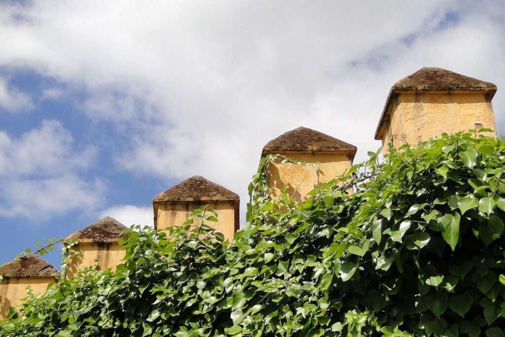 Walls of Seville: The City's Historic Fortifications 3 Walls of Seville